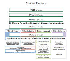 schéma études pharmacie